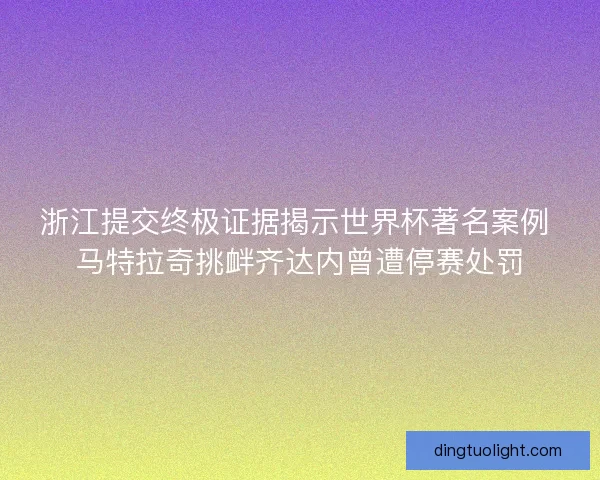 浙江提交终极证据揭示世界杯著名案例 马特拉奇挑衅齐达内曾遭停赛处罚