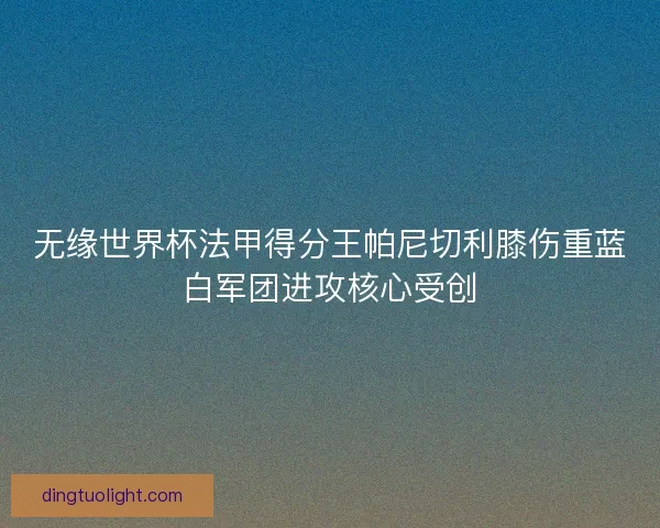 无缘世界杯法甲得分王帕尼切利膝伤重蓝白军团进攻核心受创